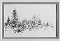 Forest Scene, 4x7 inches, graphite pencil, 2008
